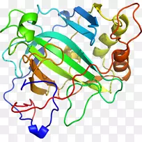 �ߵ������������-������