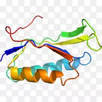 ��װ������ʱ�м�������-������