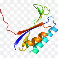 线点生物剪贴画线-空若网 线点生物剪贴画线-空若网