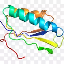 �ߵ������������-������