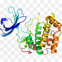 生物线动物剪贴画线-空若网 生物线动物剪贴画线-空若网
