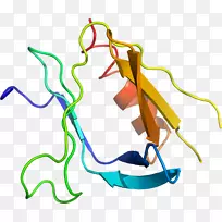 线点剪贴画-线-空若网 线点剪贴画-线-空若网