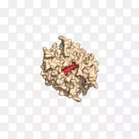 树-树-空若网 树-树-空若网