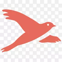 ��߼�������-������