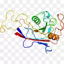线点生物剪贴画线-空若网 线点生物剪贴画线-空若网