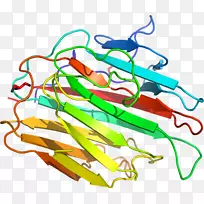 直线点植物茎夹艺术线-空若网 直线点植物茎夹艺术线-空若网
