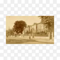 地块存量摄影树不动产树-空若网 地块存量摄影树不动产树-空若网