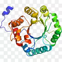 人体珠宝有机体线条剪贴画.珠宝-空若网 人体珠宝有机体线条剪贴画.珠宝-空若网