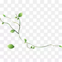 Naver���ͻ��������ֽ-������id-������