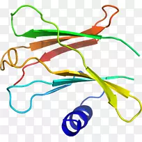 �ߵ������������-������