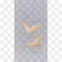 翼羽嘴鹤-空若网 翼羽嘴鹤-空若网