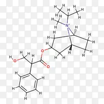 ֱ�ߵ����-������