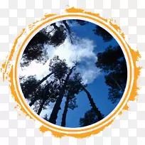 �����ֽ��ͼƬ.��-������