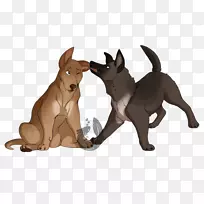 犬种鼻子野生犬-空若网 犬种鼻子野生犬-空若网