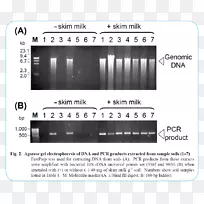 电子无线电接收机音频白色字体-空若网 电子无线电接收机音频白色字体-空若网