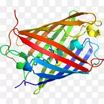 �ߵ������-��-������