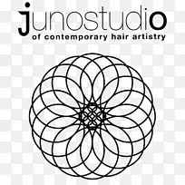 神圣几何螺旋线数学圈-数学-空若网 神圣几何螺旋线数学圈-数学-空若网