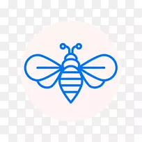 蜜蜂昆虫-空若网 蜜蜂昆虫-空若网