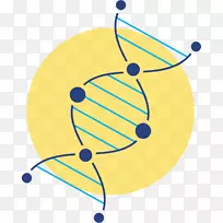 线点剪贴画-线-空若网 线点剪贴画-线-空若网