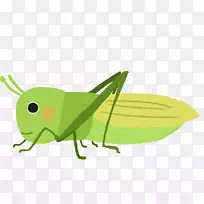蝗虫剪贴画-蝗虫-空若网 蝗虫剪贴画-蝗虫-空若网