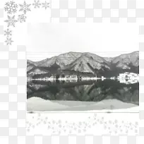 树水白雪花树-空若网 树水白雪花树-空若网