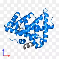 �ߵ㼼��.��-������