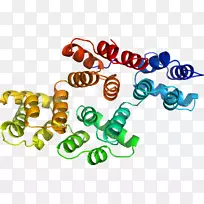 人体珠宝系列有机体剪贴画-珠宝-空若网 人体珠宝系列有机体剪贴画-珠宝-空若网