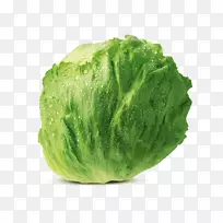 ���˰����������α�ɽݫ��ʮ�ֻ����߲�-������