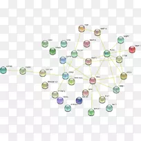 �ߵ㼼�������鱦��-������