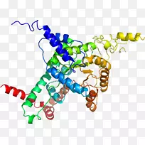 ���������鱦ϵ�м������鱦����-������