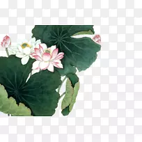 ��ź����������-��Ҷ-������