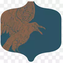 鹰嘴鹰-空若网 鹰嘴鹰-空若网