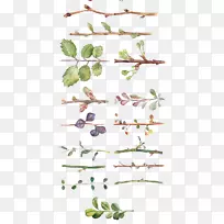 Ë®²Ê»»¨»Üͼ°¸.¸÷ÖÖÊÖ»æË®²Ê»Ê÷Ò¶ºÍÖ¦Ìõ-¿ÕÈôÍø Ë®²Ê»»¨»Üͼ°¸.¸÷ÖÖÊÖ»æË®²Ê»Ê÷Ò¶ºÍÖ¦Ìõ-¿ÕÈôÍø