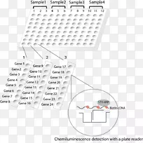 Ʒ���ߵ����-������