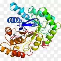 人体珠宝有机体线条剪贴画.珠宝-空若网 人体珠宝有机体线条剪贴画.珠宝-空若网