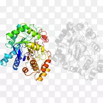 艺术剪辑艺术设计-空若网 艺术剪辑艺术设计-空若网
