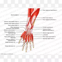 ǰ�ۼ���ϵͳǰ������ʱ�-������