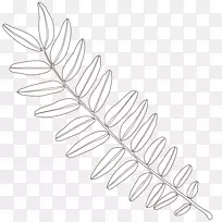 细枝线艺术角叶线-空若网 细枝线艺术角叶线-空若网