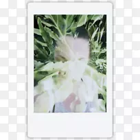 树-树-空若网 树-树-空若网