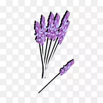 Ӣ��޹�²ݻ���޹�²ݻ�������-������