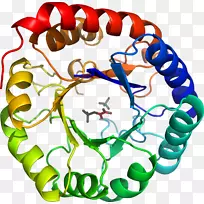 人体珠宝有机体线条剪贴画.珠宝-空若网 人体珠宝有机体线条剪贴画.珠宝-空若网