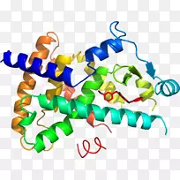 人体行为有机体点剪贴画线-空若网 人体行为有机体点剪贴画线-空若网