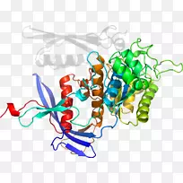 平面设计有机体剪贴画设计-空若网 平面设计有机体剪贴画设计-空若网
