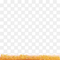 黄纹草蜻蜓-空若网 黄纹草蜻蜓-空若网