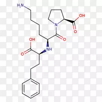 直线点角线-空若网 直线点角线-空若网