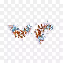 车身珠宝字体-珠宝-空若网 车身珠宝字体-珠宝-空若网