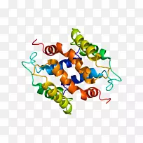 生物线动物剪贴画线-空若网 生物线动物剪贴画线-空若网