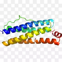 人体珠宝系列剪贴画.珠宝-空若网 人体珠宝系列剪贴画.珠宝-空若网