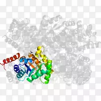 �����ֽ���Լ���������-������