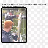 技术爱好-技术-空若网 技术爱好-技术-空若网